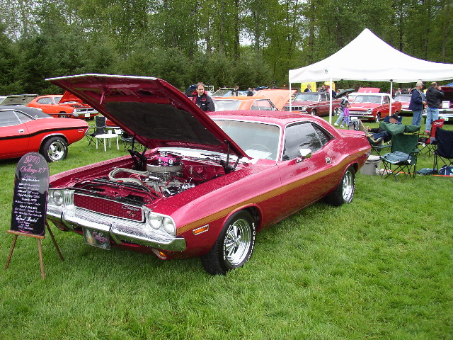 P1010051.JPG